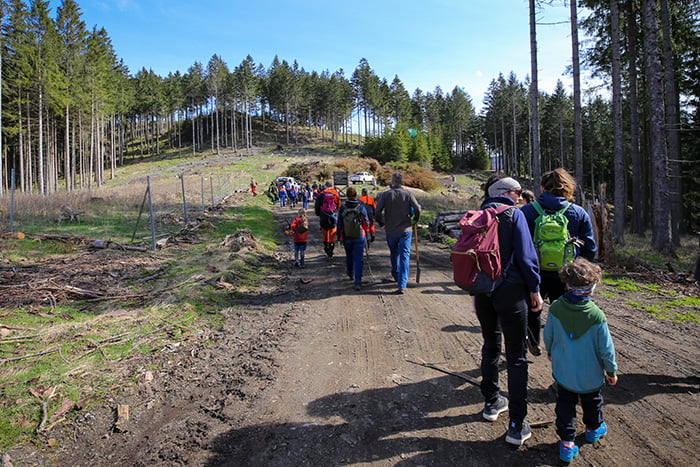 Baumpflanzaktion, mehrere Personen begeben sich auf einem Waldweg zur geplanten Baumpflanzaktion