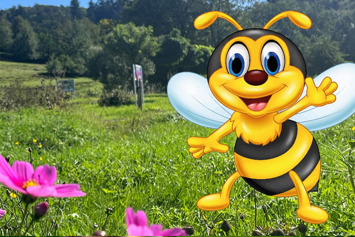Bienengarten & Bienenlehrpfad, Biene auf Wiese - NAturparadies in Floh-Seligenthal
