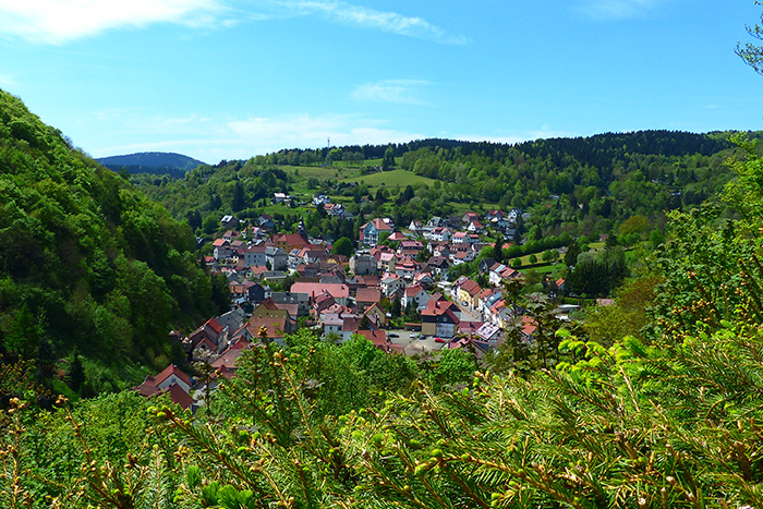 Blick über Kleinschmalkalden am Rennsteig in der Gemeinde Floh-Seligenthal