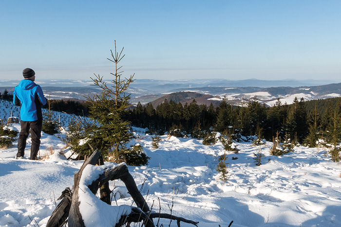 Eine Person steht in einer Winterlandschaft und blickt auf den Thüringer Wald