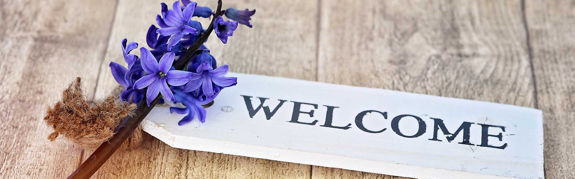 ein weißes Schild mit der Aufschrift "Welcome" verziert mit einer lila Hyazinte liegend auf einem Holzhintergrund