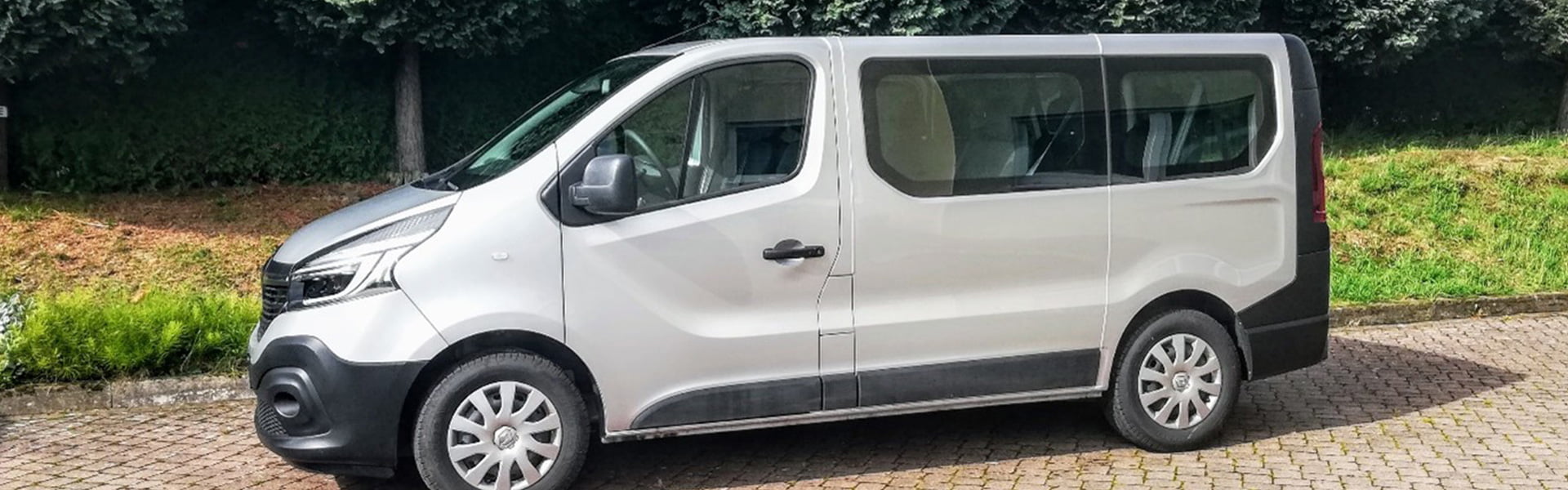 Bürgerbus, Grauer Multivan vor einer Baumgruppe