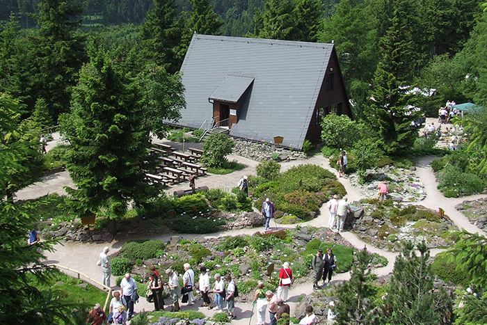 Blick von oben auf den Oberhofer Rennsteiggarten, Besucher bestaunen verschiedene Pflanzenarten
