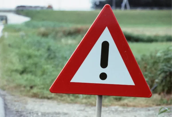 Dreieckiges Verkehrsschild mit rotem Rand und schwarzem Ausrufezeichen auf weißem Grund als allgemeines Warnzeichen, vor unscharfem, grünen Landschaftshintergrund.